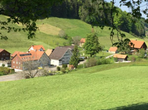 Отель Landgasthaus Bären, Груб